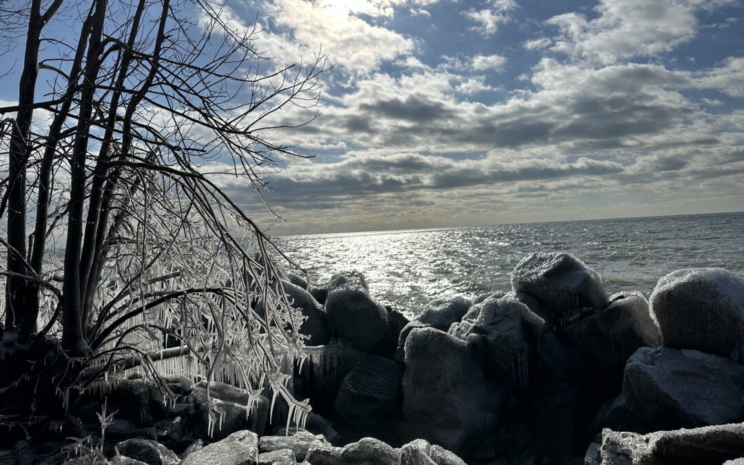 point pelee winter