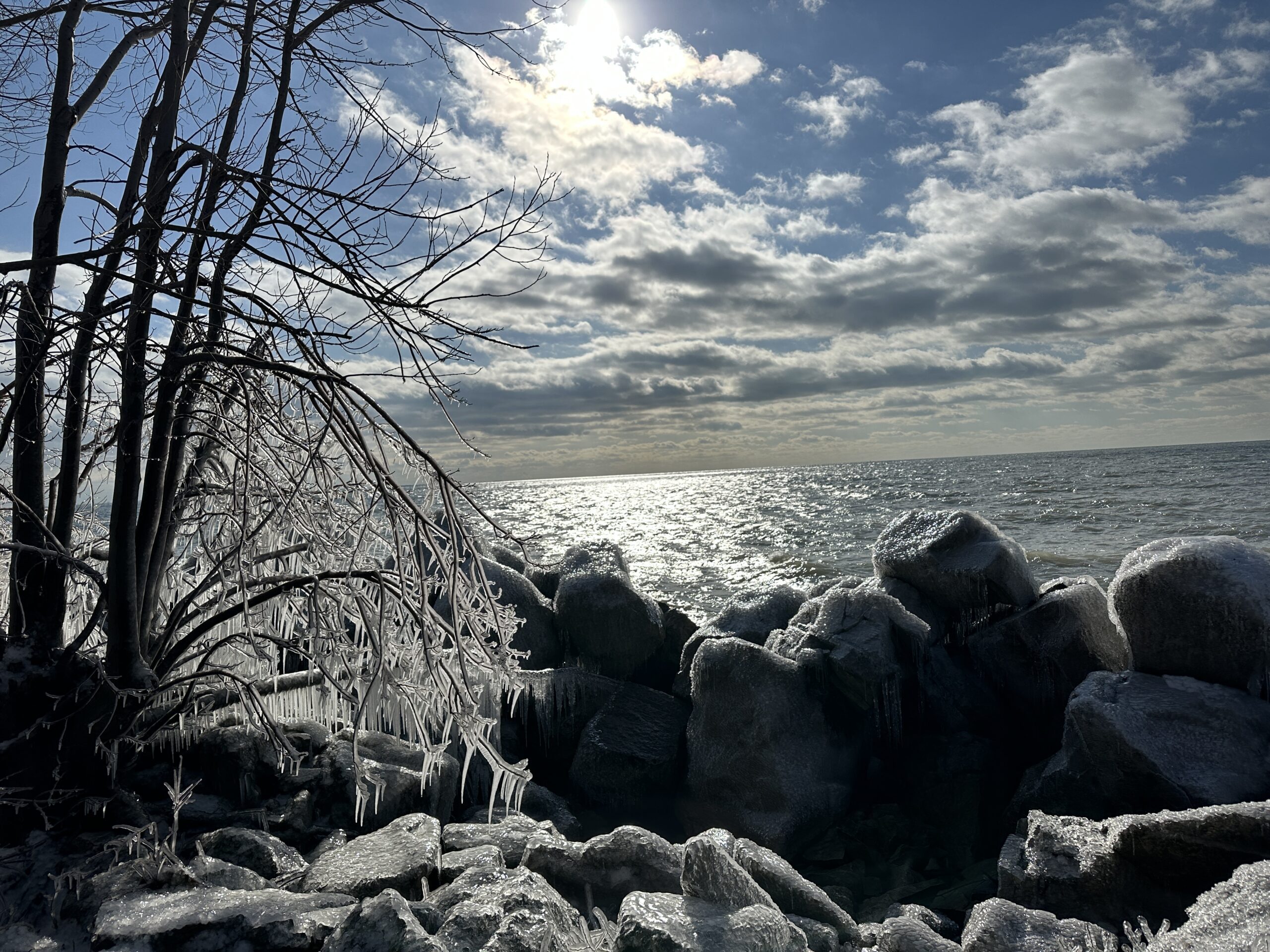 point pelee winter